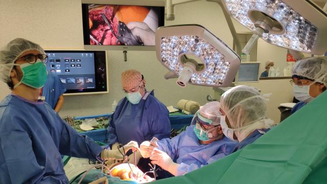 Cirurgia de pròtesi de maluc en 3D