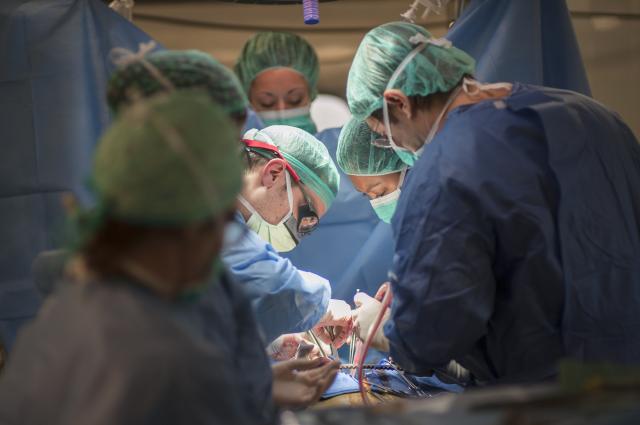 L’Hospital de Bellvitge ha estat el centre que ha realitzat més trasplantaments renals de donant viu a l’Estat en 2023